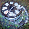 Светодиодный шнур дюралайт 13мм, чейзинг, цвет белый